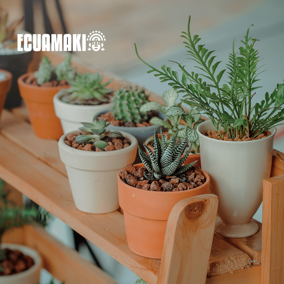 Fertilizante en polvo de cáscara de plátano (500 g)