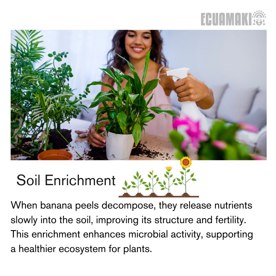 Fertilizante en polvo de cáscara de plátano (500 g)