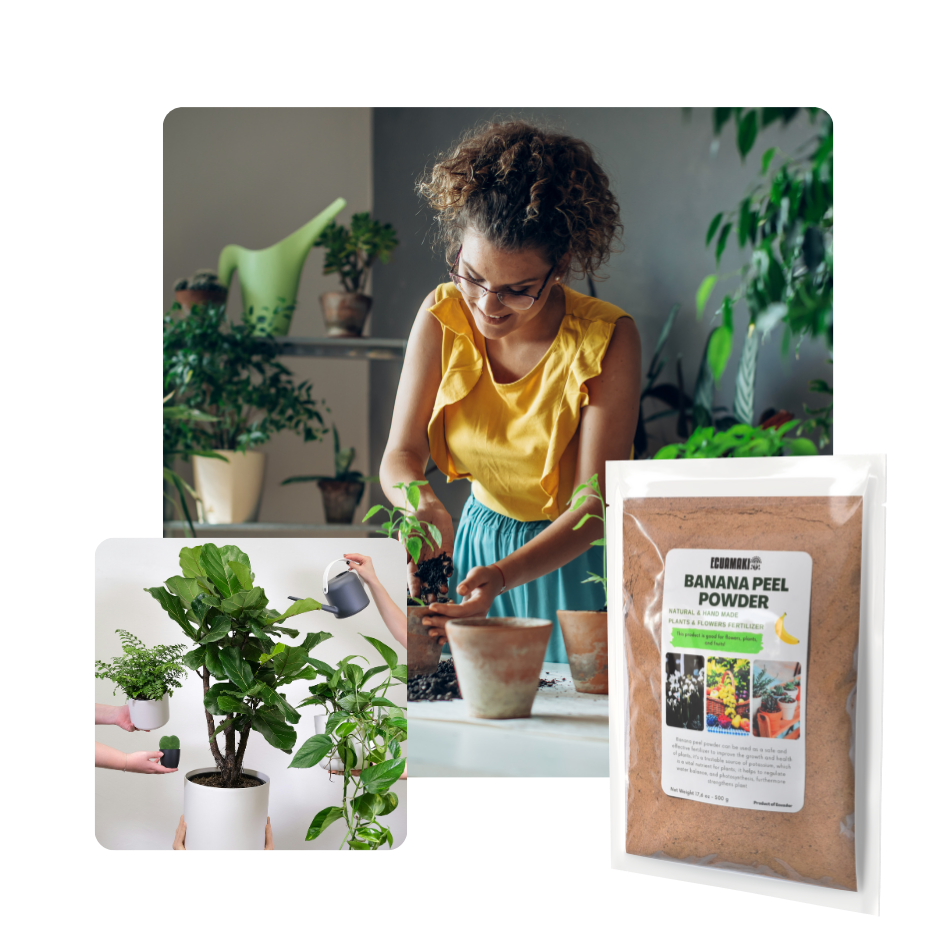 Fertilizante en polvo de cáscara de plátano (500 g)