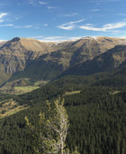 Quinoa Blanca 100% Orgánica